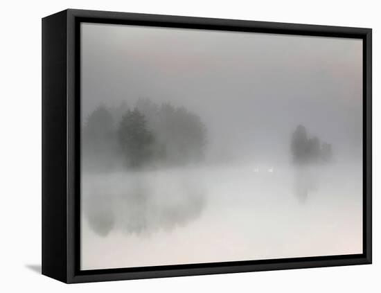 Misty Morning-Bjorn Emanuelson-Framed Stretched Canvas