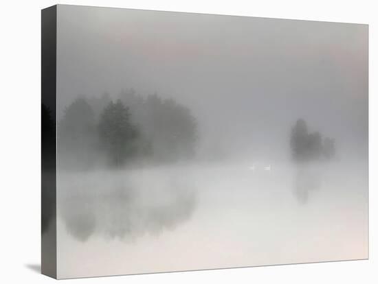 Misty Morning-Bjorn Emanuelson-Stretched Canvas