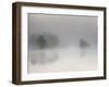 Misty Morning-Bjorn Emanuelson-Framed Photographic Print