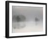 Misty Morning-Bjorn Emanuelson-Framed Photographic Print