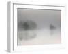 Misty Morning-Bjorn Emanuelson-Framed Photographic Print