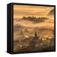 Misty Morning-Ales Krivec-Framed Stretched Canvas