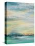 Misty Morning-Patricia Pinto-Stretched Canvas