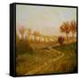 Misty Morning-Herb Dickinson-Framed Stretched Canvas