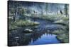 Misty Morning-Jeff Tift-Stretched Canvas