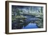 Misty Morning-Jeff Tift-Framed Giclee Print