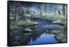 Misty Morning-Jeff Tift-Framed Stretched Canvas