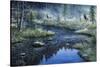 Misty Morning-Jeff Tift-Stretched Canvas