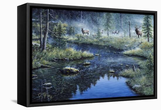 Misty Morning-Jeff Tift-Framed Stretched Canvas