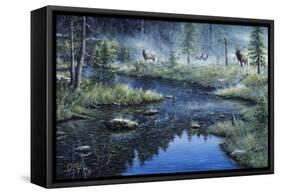 Misty Morning-Jeff Tift-Framed Stretched Canvas