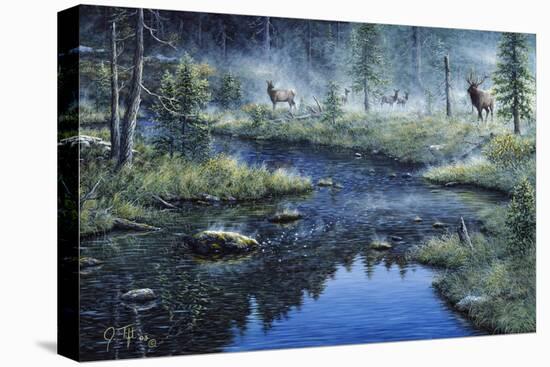 Misty Morning-Jeff Tift-Stretched Canvas