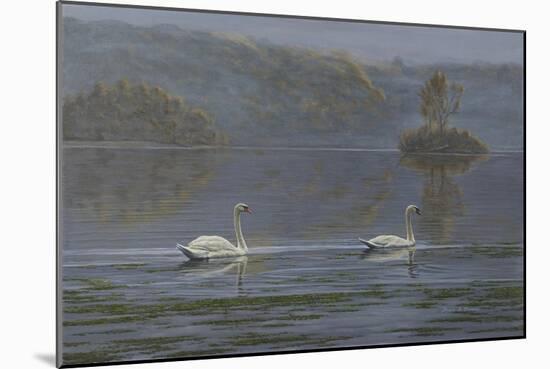 Misty Morning-Bruce Dumas-Mounted Giclee Print