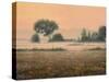 Misty Morning-James W Johnson-Stretched Canvas