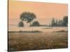 Misty Morning-James W Johnson-Stretched Canvas