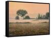 Misty Morning-James W Johnson-Framed Stretched Canvas