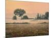 Misty Morning-James W Johnson-Mounted Giclee Print