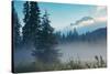 Misty Mount Hood Meadow in Spring, Oregon Wilderness-Vincent James-Stretched Canvas