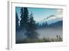 Misty Mount Hood Meadow in Spring, Oregon Wilderness-Vincent James-Framed Photographic Print