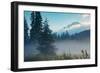 Misty Mount Hood Meadow in Spring, Oregon Wilderness-Vincent James-Framed Photographic Print