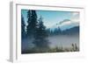 Misty Mount Hood Meadow in Spring, Oregon Wilderness-Vincent James-Framed Photographic Print