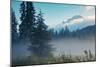 Misty Mount Hood Meadow in Spring, Oregon Wilderness-Vincent James-Mounted Photographic Print