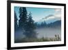 Misty Mount Hood Meadow in Spring, Oregon Wilderness-Vincent James-Framed Photographic Print