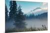 Misty Mount Hood Meadow in Spring, Oregon Wilderness-Vincent James-Mounted Photographic Print