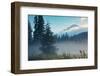 Misty Mount Hood Meadow in Spring, Oregon Wilderness-Vincent James-Framed Photographic Print