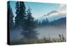 Misty Mount Hood Meadow in Spring, Oregon Wilderness-Vincent James-Stretched Canvas