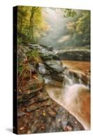 Misty Mountain Creekside, Catskills-Vincent James-Stretched Canvas