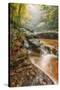 Misty Mountain Creekside, Catskills-Vincent James-Stretched Canvas