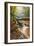 Misty Mountain Creekside, Catskills-Vincent James-Framed Photographic Print