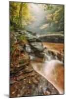 Misty Mountain Creekside, Catskills-Vincent James-Mounted Photographic Print