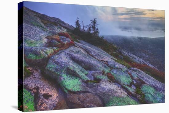 Misty Mountain Top, Cadillac Mountain-Vincent James-Stretched Canvas