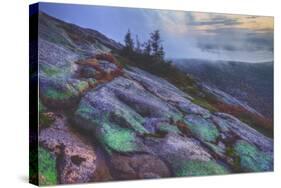 Misty Mountain Top, Cadillac Mountain-Vincent James-Stretched Canvas