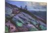 Misty Mountain Top, Cadillac Mountain-Vincent James-Mounted Photographic Print