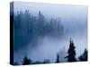 Misty Mountains XV-null-Stretched Canvas