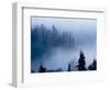 Misty Mountains XV-null-Framed Photographic Print