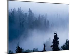 Misty Mountains XV-null-Mounted Photographic Print