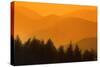 Misty Mountains-null-Stretched Canvas