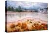 Misty Mud Pot Morning Landscape Yellowstone National Park-Vincent James-Stretched Canvas