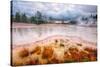 Misty Mud Pot Morning Landscape Yellowstone National Park-Vincent James-Stretched Canvas