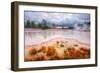 Misty Mud Pot Morning Landscape Yellowstone National Park-Vincent James-Framed Photographic Print