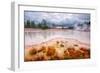 Misty Mud Pot Morning Landscape Yellowstone National Park-Vincent James-Framed Photographic Print