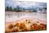 Misty Mud Pot Morning Landscape Yellowstone National Park-Vincent James-Mounted Photographic Print