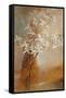 Misty Orchids I-Lanie Loreth-Framed Stretched Canvas