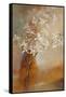 Misty Orchids I-Lanie Loreth-Framed Stretched Canvas