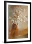 Misty Orchids I-Lanie Loreth-Framed Art Print