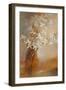 Misty Orchids I-Lanie Loreth-Framed Art Print