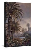 Misty Palms I-James Lee-Stretched Canvas